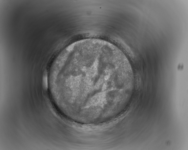 X0000097600022200803211710