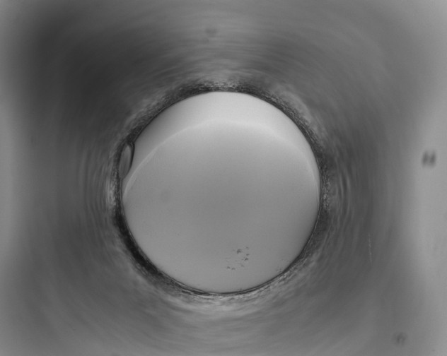 X0000097600023200803211710