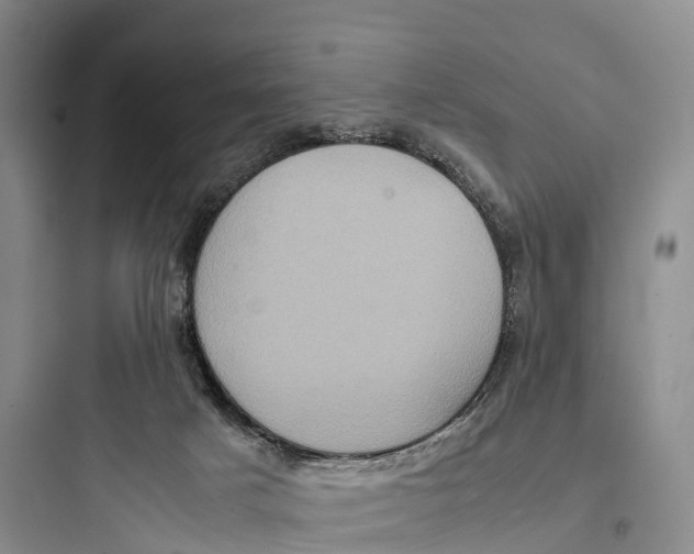 X0000097600025200803211710