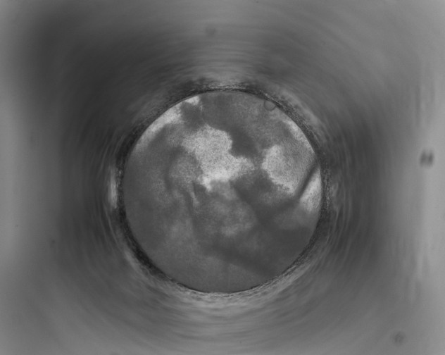 X0000097600026200803211710