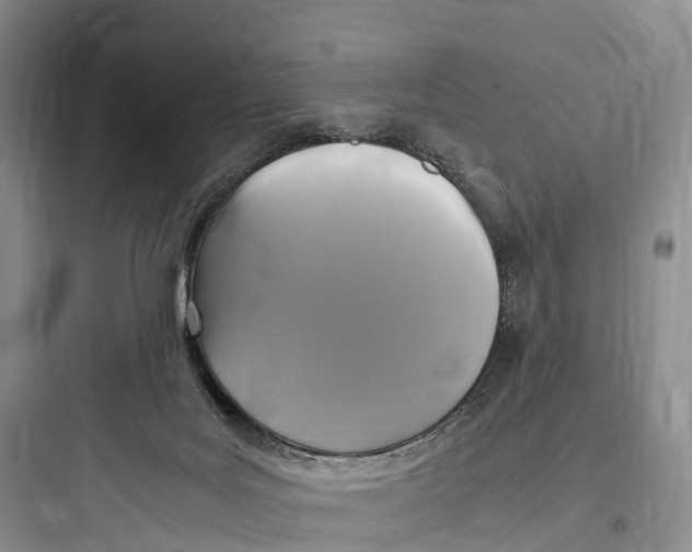 X0000097600027200803211710