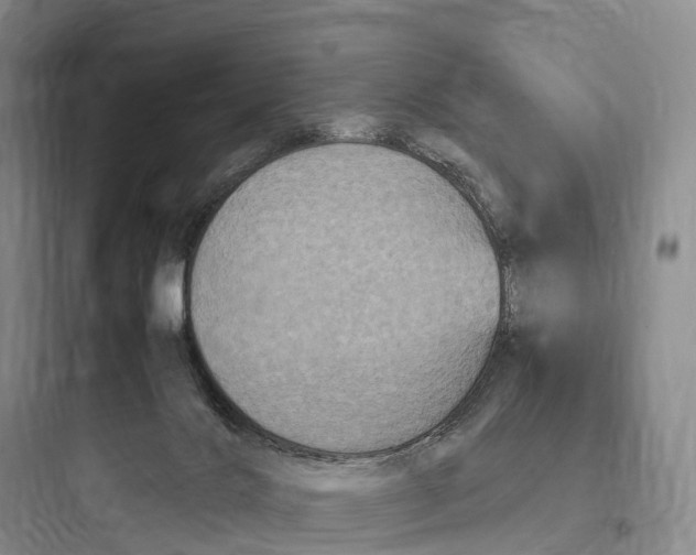 X0000097600028200803211710