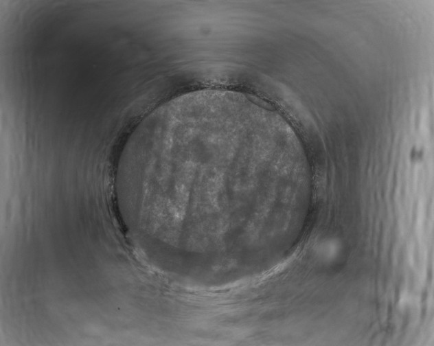 X0000097600029200803211710