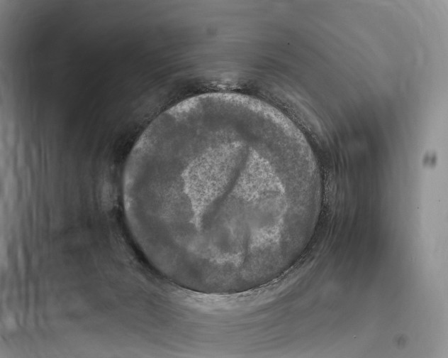 X0000097600030200803211710