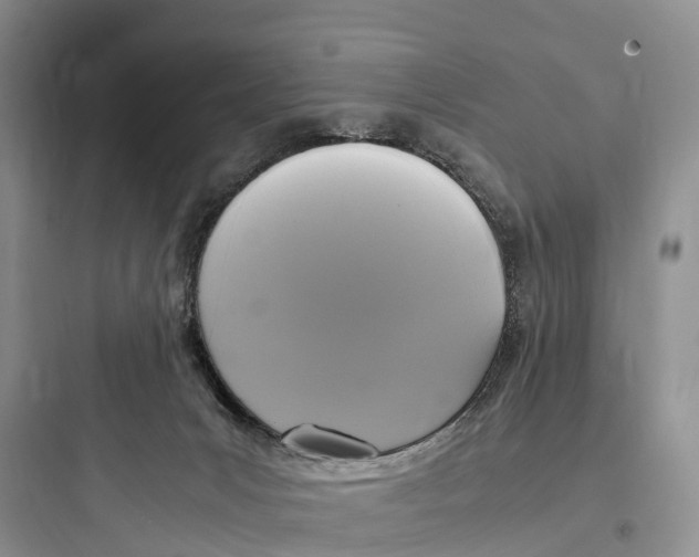 X0000097600031200803211710