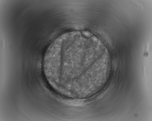 X0000097600032200803211710