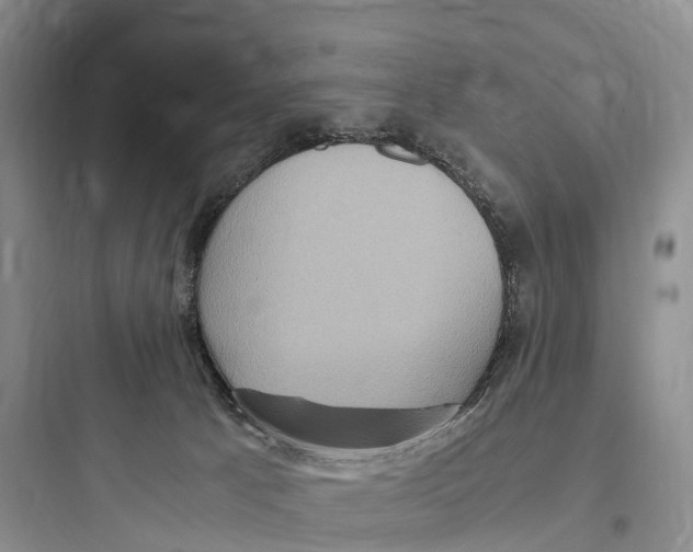 X0000097600033200803211710