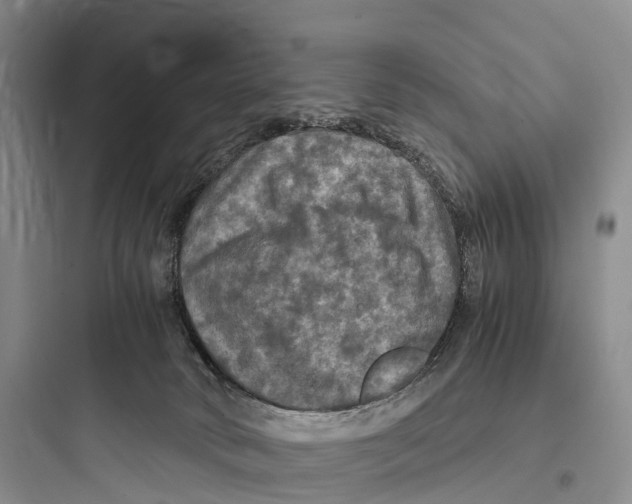 X0000097600034200803211710