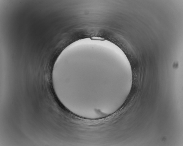 X0000097600035200803211710