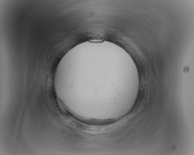 X0000097600037200803211710