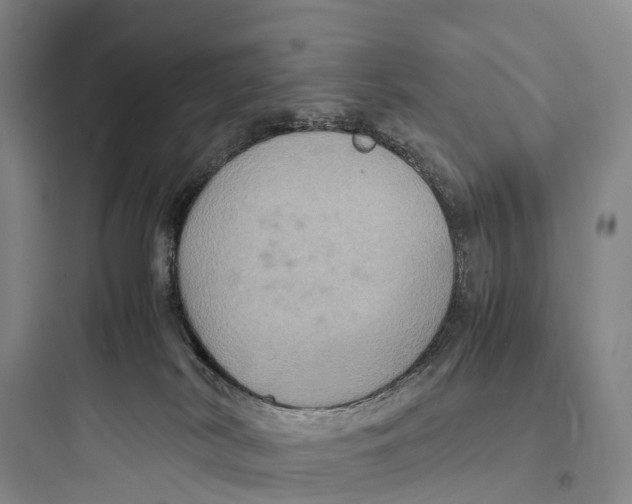 X0000097600038200803211709