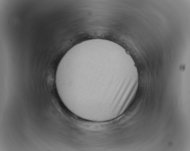 X0000097600040200803211709