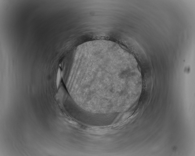 X0000097600041200803211709