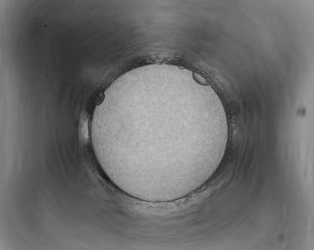 X0000097600042200803211709