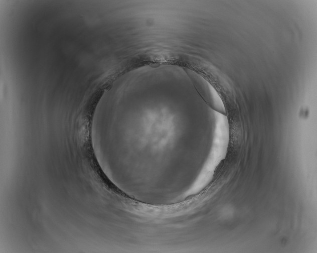 X0000097600043200803211709