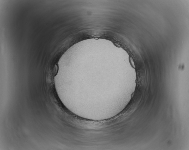 X0000097600044200803211709