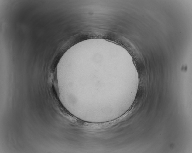 X0000097600045200803211709