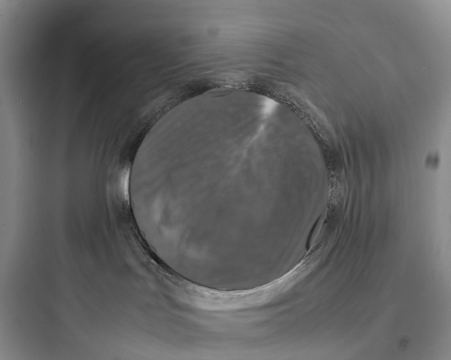 X0000097600047200803211709