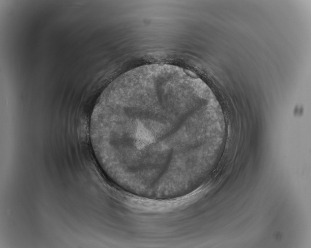 X0000097600048200803211709