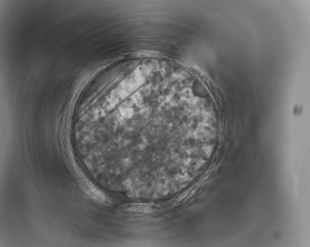 X0000097600049200803211709