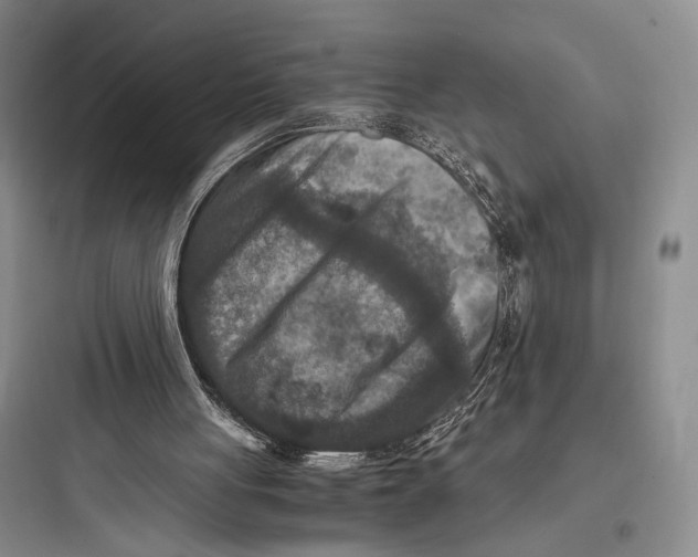 X0000097600051200803211709