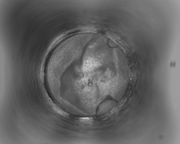 X0000097600053200803211709