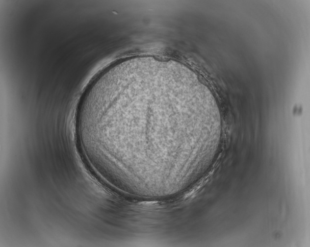 X0000097600054200803211709