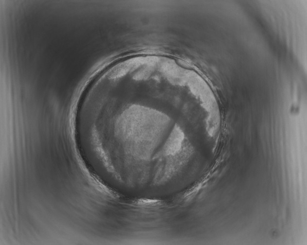 X0000097600055200803211709