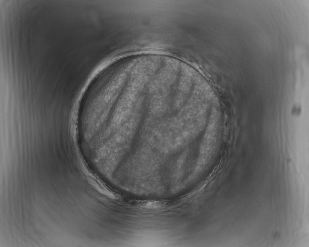 X0000097600056200803211709