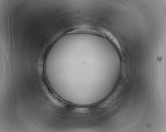 X0000097600057200803211709