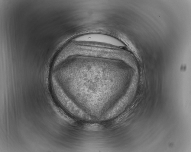 X0000097600058200803211709