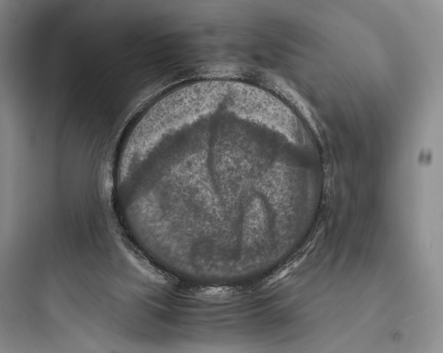 X0000097600059200803211709