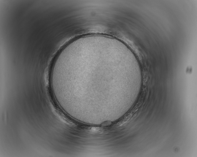 X0000097600060200803211709