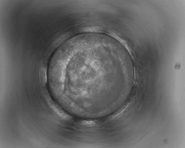 X0000097600061200803211709