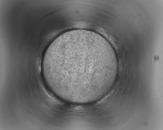 X0000097600062200803211709