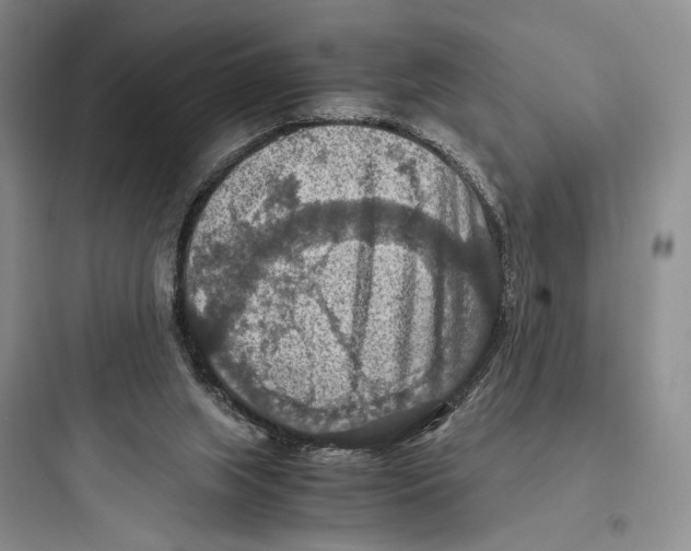 X0000097600063200803211709