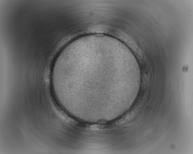 X0000097600064200803211709