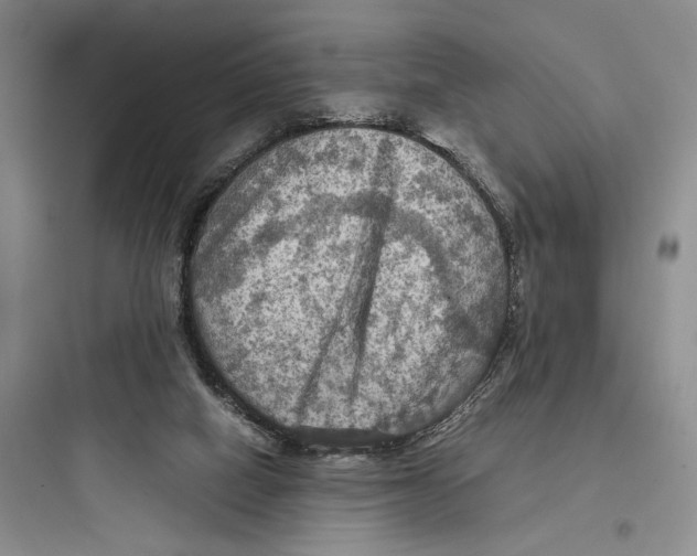 X0000097600066200803211709