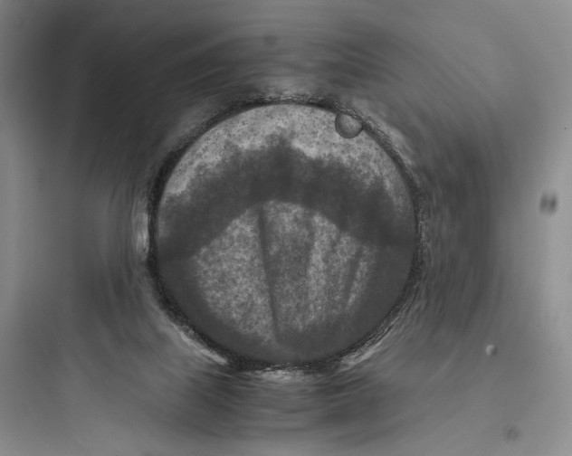 X0000097600067200803211709