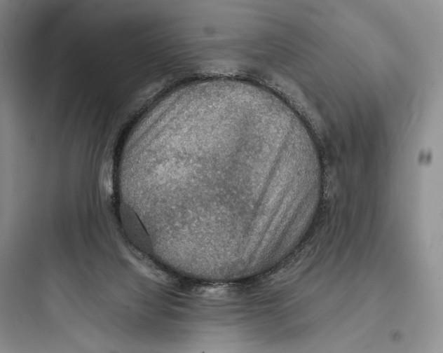 X0000097600068200803211709