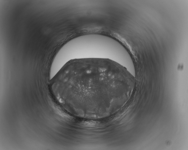 X0000097600069200803211709