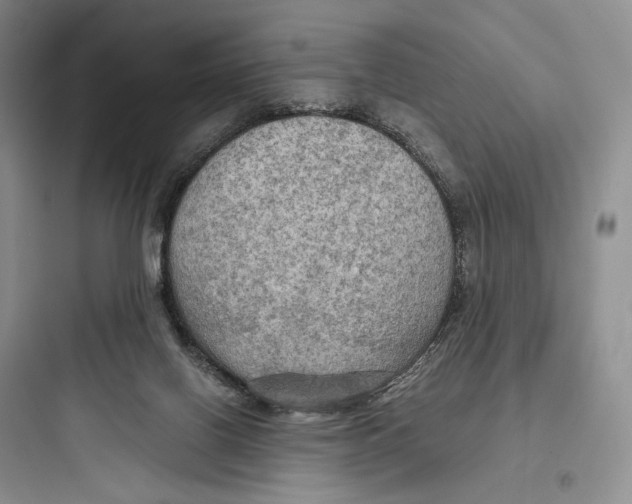 X0000097600070200803211709