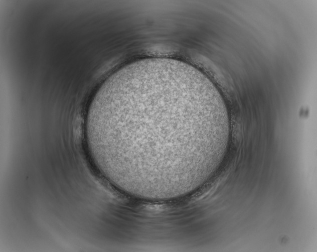 X0000097600071200803211709