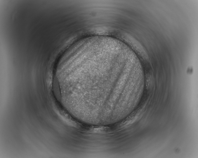 X0000097600072200803211709