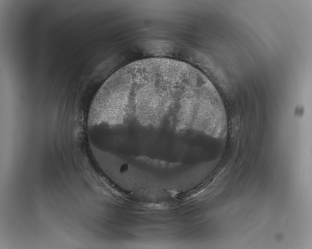 X0000097600073200803211709