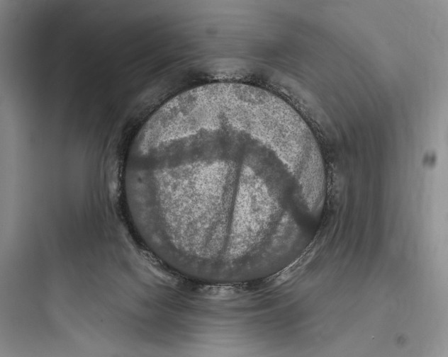 X0000097600074200803211709