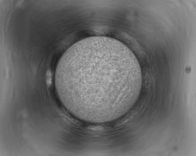 X0000097600075200803211709