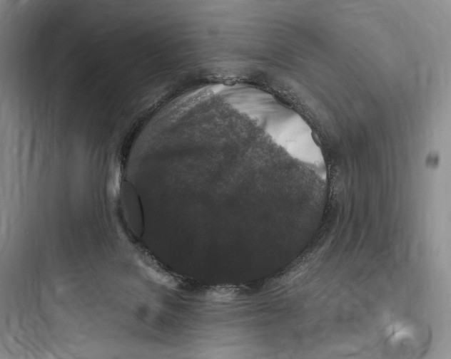 X0000097600076200803211709