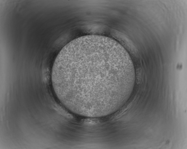 X0000097600077200803211709