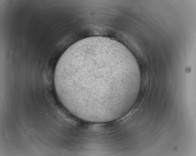 X0000097600078200803211709